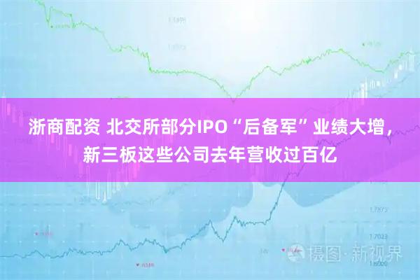 浙商配资 北交所部分IPO“后备军”业绩大增,新三板这些公司去年营收过百亿