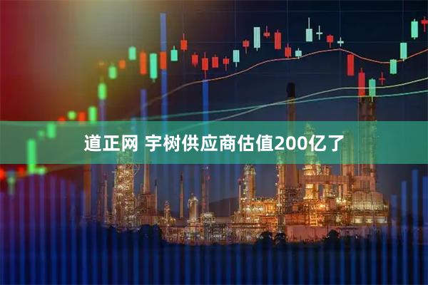 道正网 宇树供应商估值200亿了